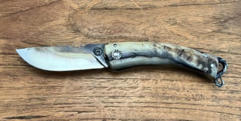 Curnicciolu Volute, lame carbone XC75, corne de bélier